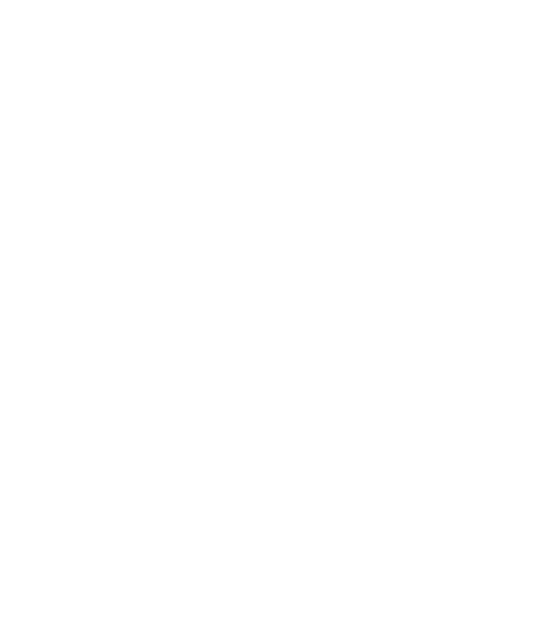 Citroën Bistrița