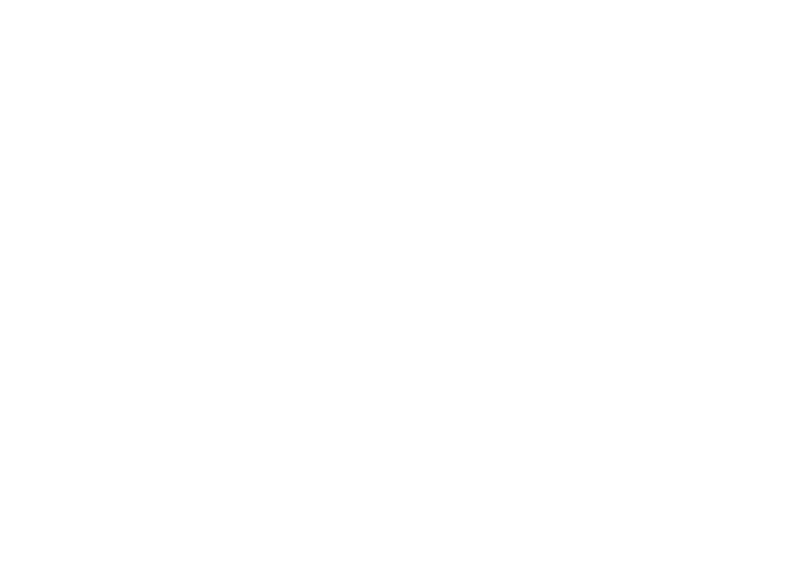 Geely Bistrița