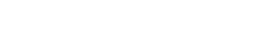 Rubin Motors