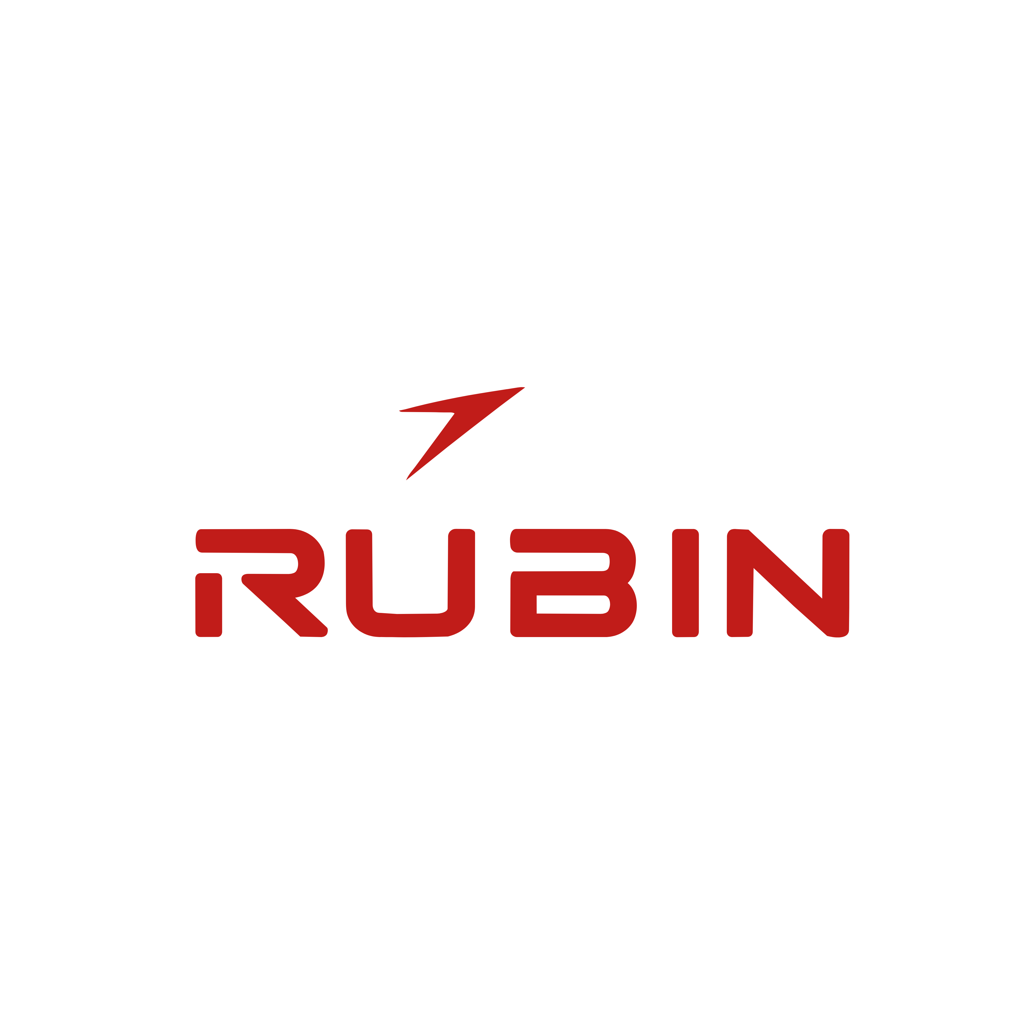Rubin Motors